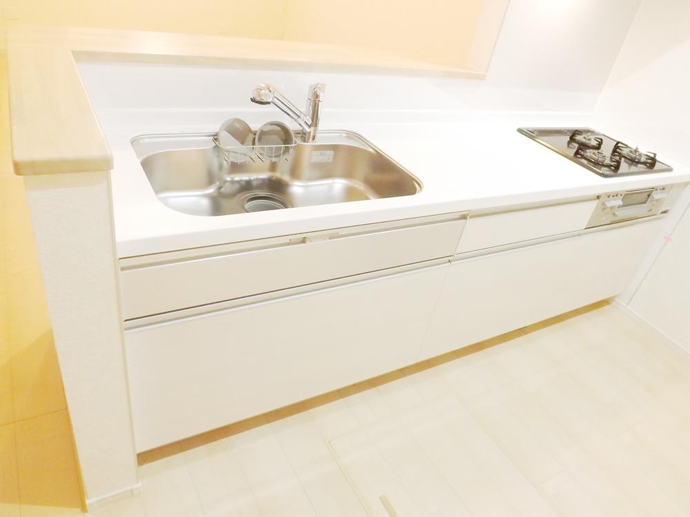 Kitchen. Local photo (kitchen) Slide storage! Water purifier with shower!