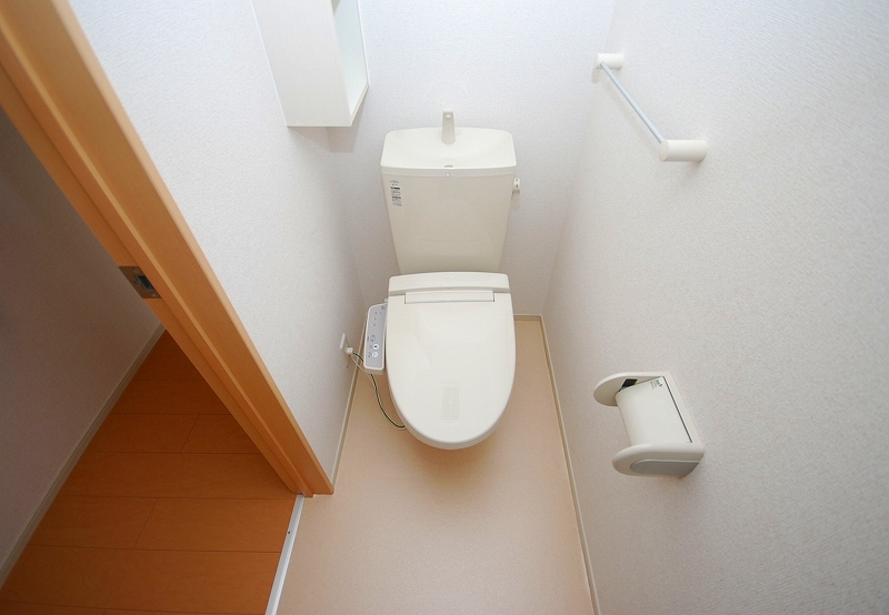 Toilet. Toilet