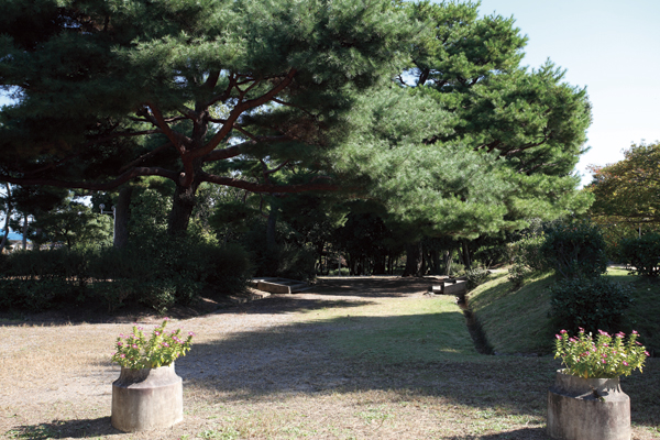 Surrounding environment. Baekje Teraato park