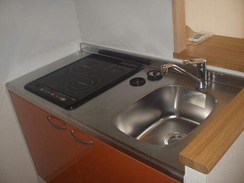 Kitchen. IH2 burner stove with a system counter kitchen