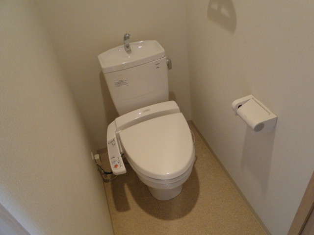 Toilet. It toilet is also convenient with a multi-function