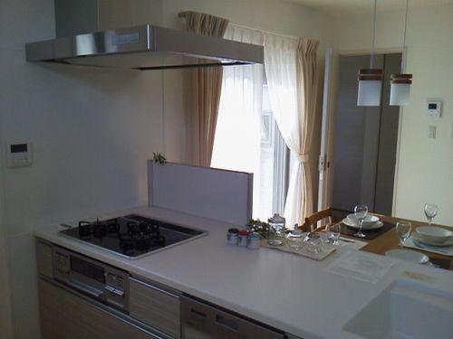 Kitchen. 3-neck gas stove, Dishwasher, Water purifier with a faucet is the standard specification. (image)