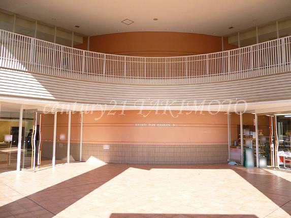 Entrance. Common areas