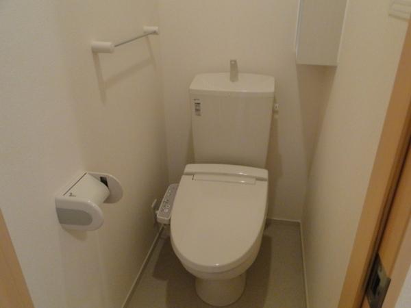 Toilet. It toilet is also convenient with a multi-function