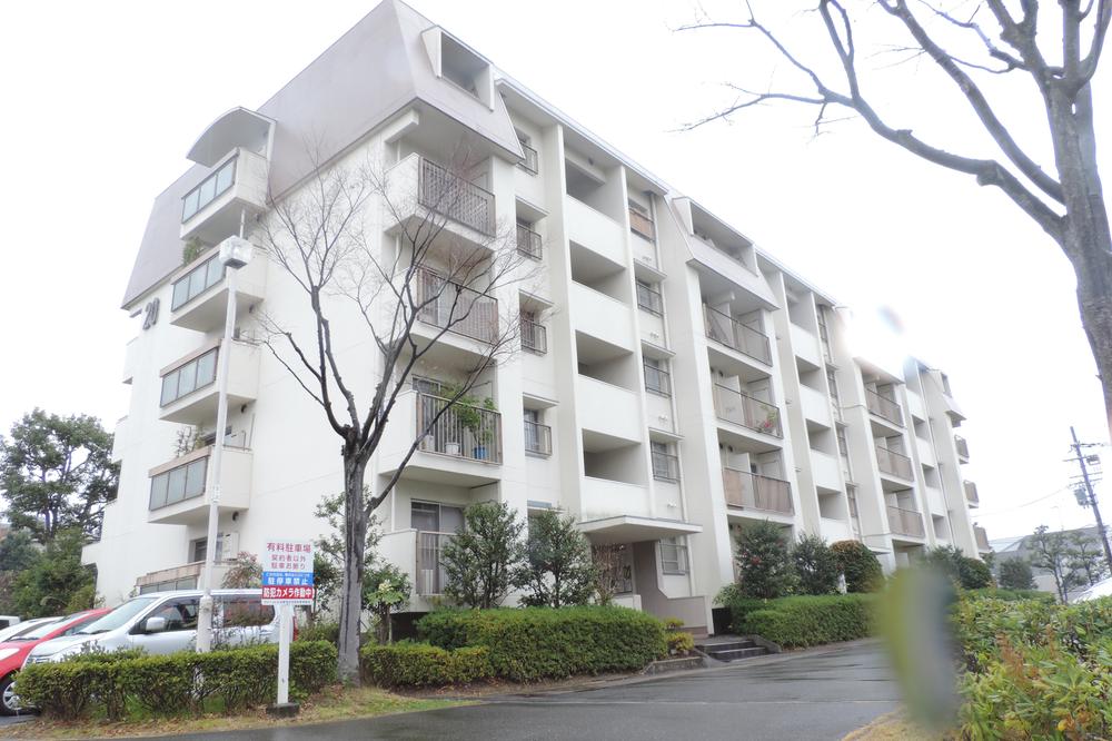 Local appearance photo. Local (12 May 2013) Shooting