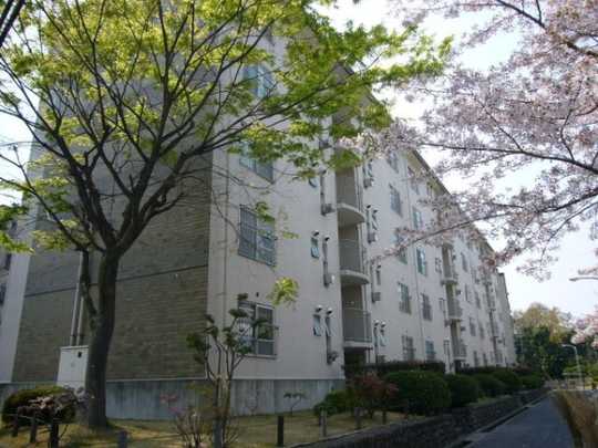 Local appearance photo. Exterior Photos