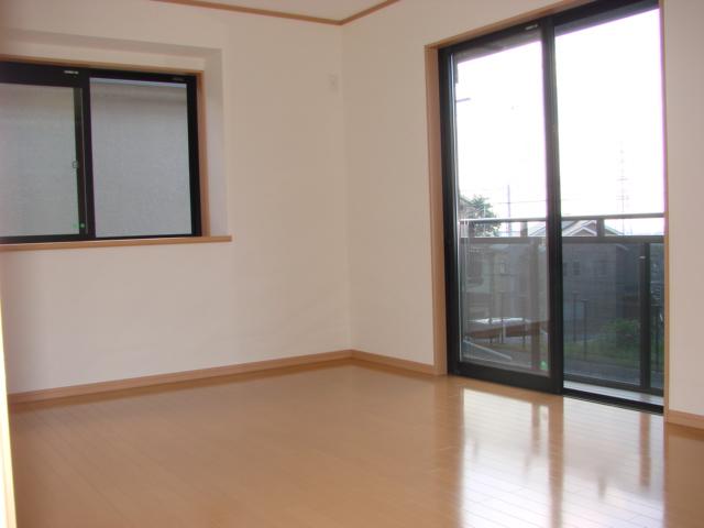 Other introspection. Local photos (Western-style)