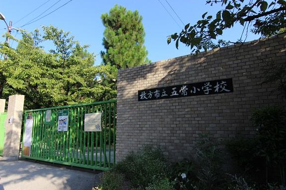 Primary school. Five Confucian virtues 1000m up to elementary school