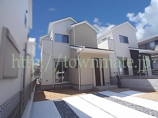 Same specifications photos (appearance). Simple appearance (same specifications appearance)