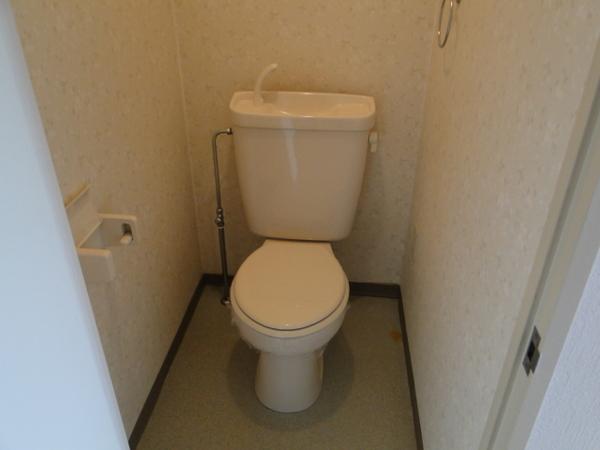 Toilet. Popular bath and toilet separately!