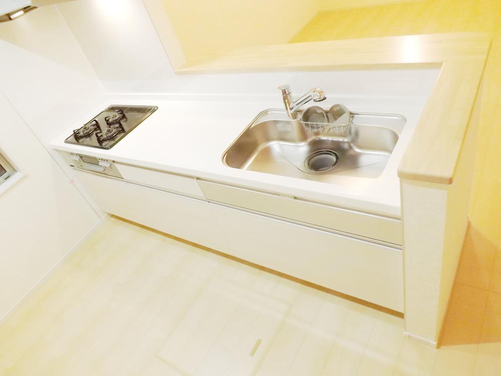 Kitchen. Local photo (kitchen) Slide storage! Water purifier with shower!