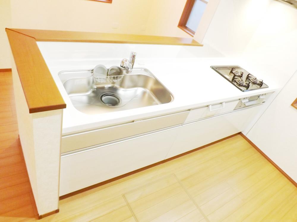 Kitchen. Local photo (kitchen) Slide storage! Water purifier with shower!