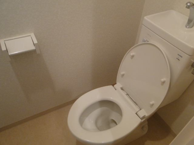 Toilet. Of course, it is separate type