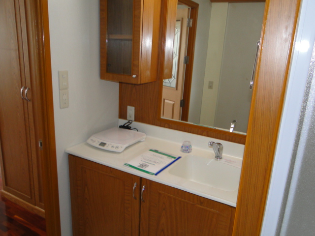 Washroom. Independent wash basin is also popular with a mirror