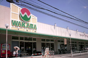 Other Environmental Photo. 480m walk 6 minutes to super Wakaba. 9:00 ~ It is open until 23:00. Since there is also a parking lot, Convenient for daily shopping