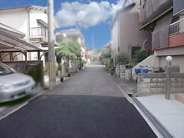 Local photos, including front road. Frontal road