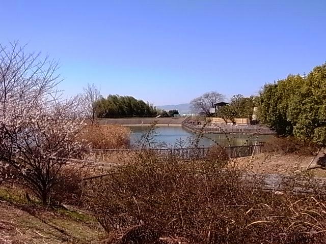 park. 514m to Tsuda park