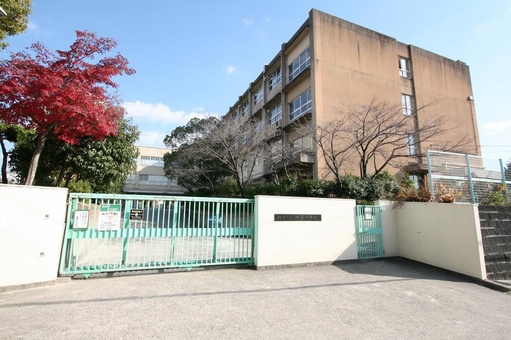 Junior high school. Hirakata Municipal Kuzuhanaka 500m to school