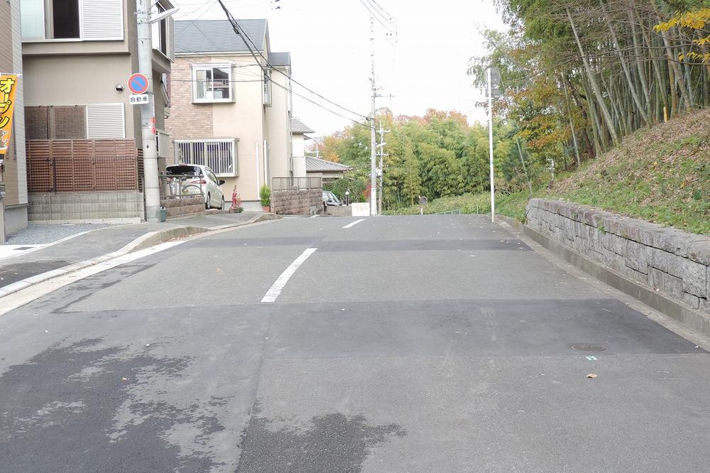 Local photos, including front road. Local (11 May 2013) Shooting