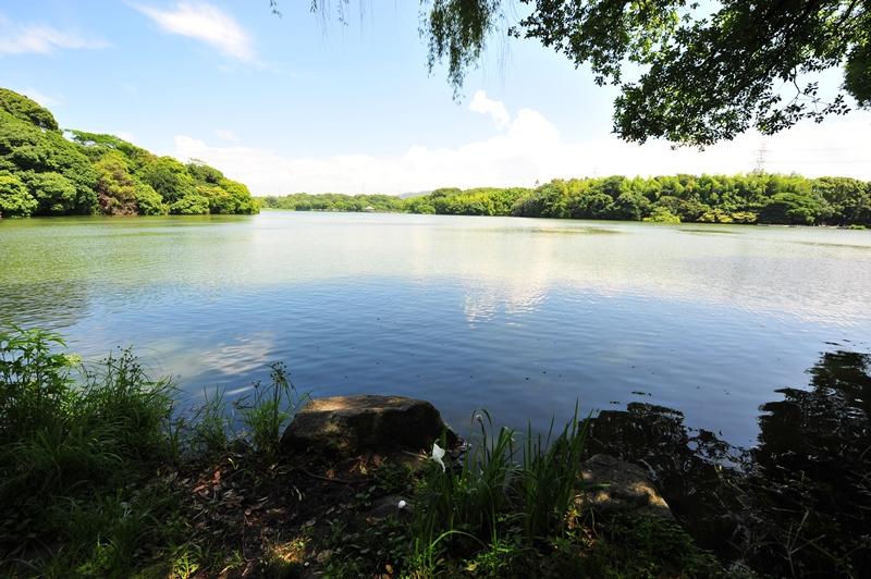 park. Until Yamadaikekoen 450m