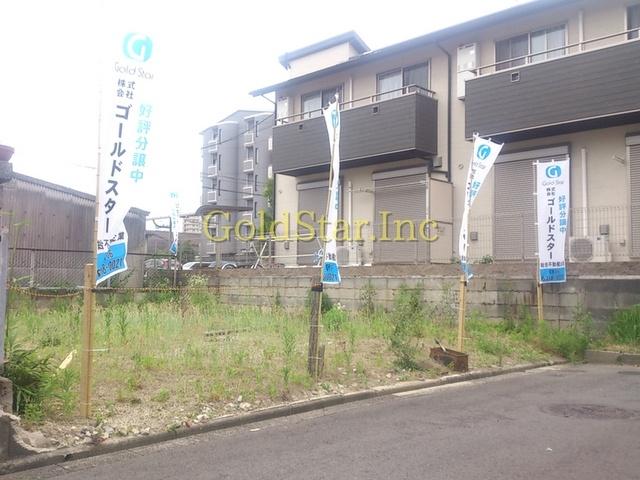 Local appearance photo. Local photos (north)