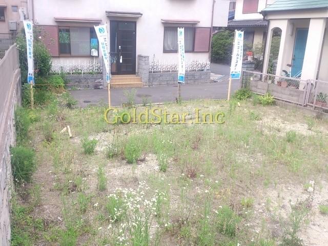 Local appearance photo. Local photos (south side)