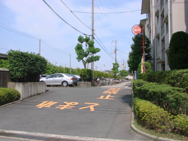 Local appearance photo. Local photo (the entire surface of the road)