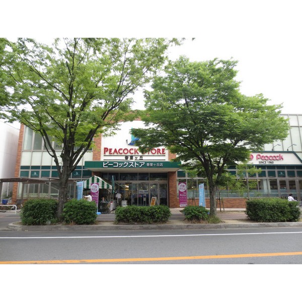 Supermarket. 1178m until Peacock store Kaorike Okaten (super)