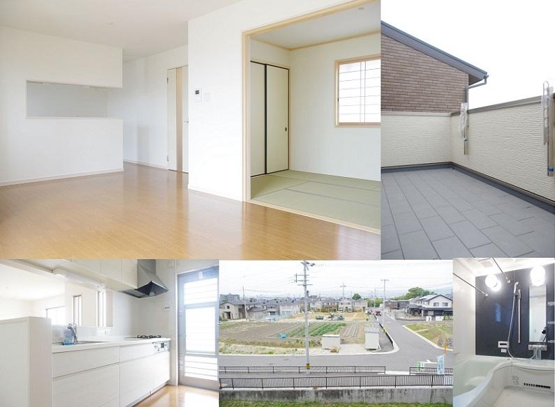 Other introspection. No. 7 land