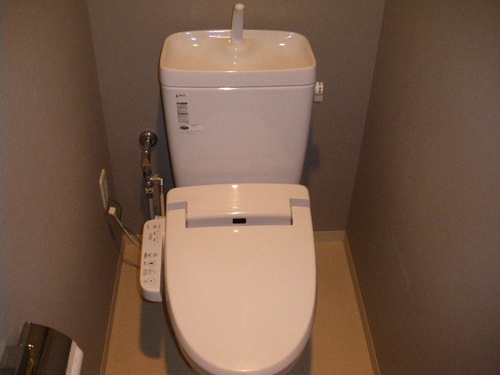 Toilet. Toilet