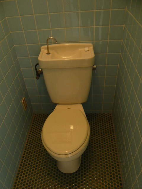 Toilet