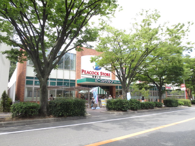 Supermarket. 1194m until Peacock store Kaorike Okaten (super)