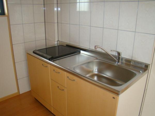 Kitchen. Cooking in the kitchen with a stove IH is also easy to