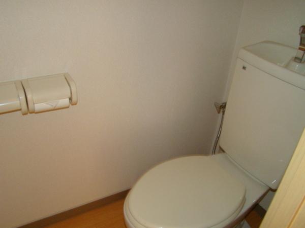 Toilet. Popular separate type!