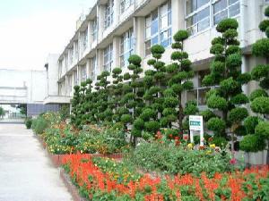 Primary school. Hirakata Municipal Fujisaka to elementary school 220m