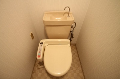 Toilet. Toilet