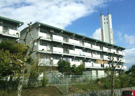 Local appearance photo. Local (10 May 2013) Shooting