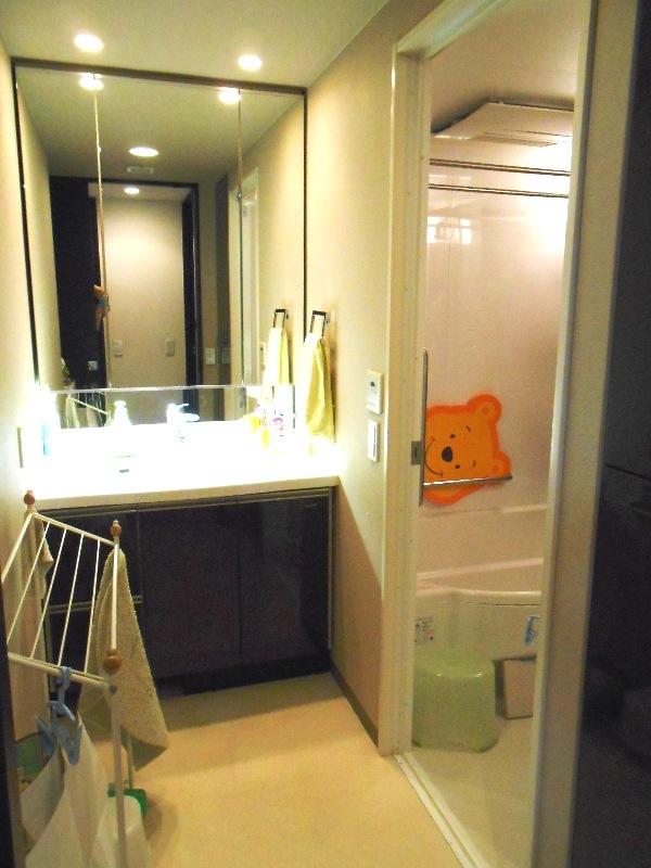 Wash basin, toilet. Behind the Mirror is plenty of storage