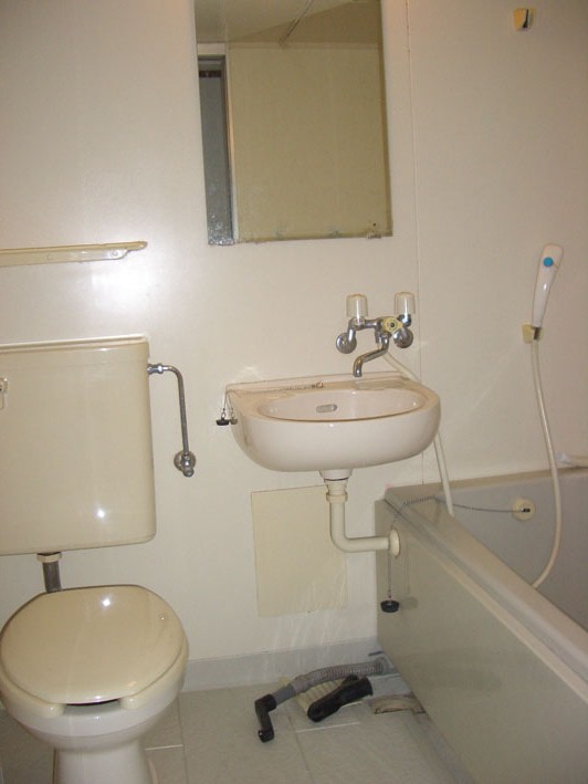 Washroom. Toilet and wash basin