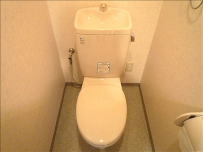 Toilet. Toilet