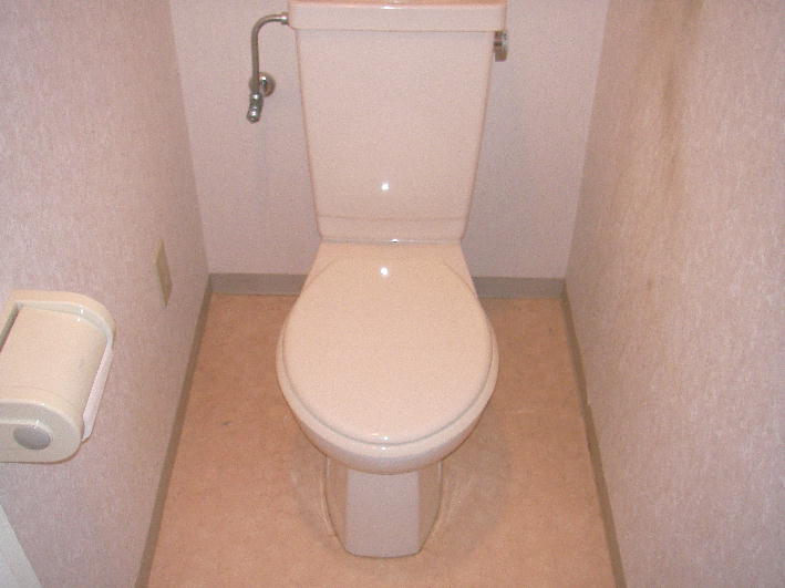 Toilet. Toilet