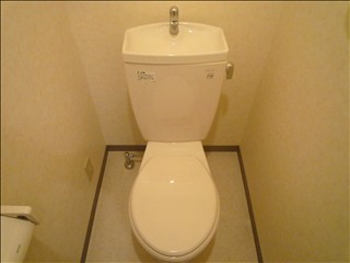 Toilet. Toilet