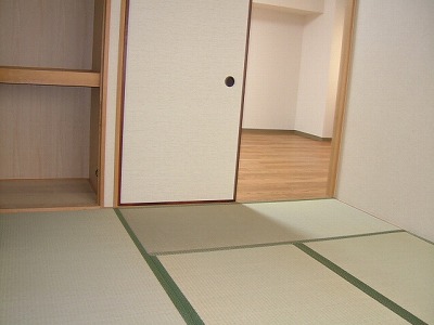 Other room space. Japanese style room