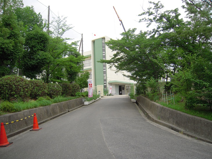 Primary school. Ibaraki Tatsugun to elementary school (elementary school) 240m