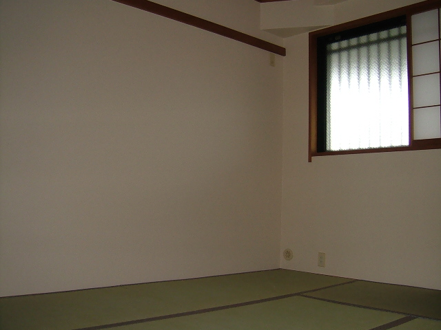 Other room space. Japanese style room