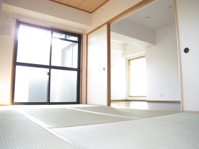 Other room space. Japanese style room