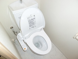 Toilet