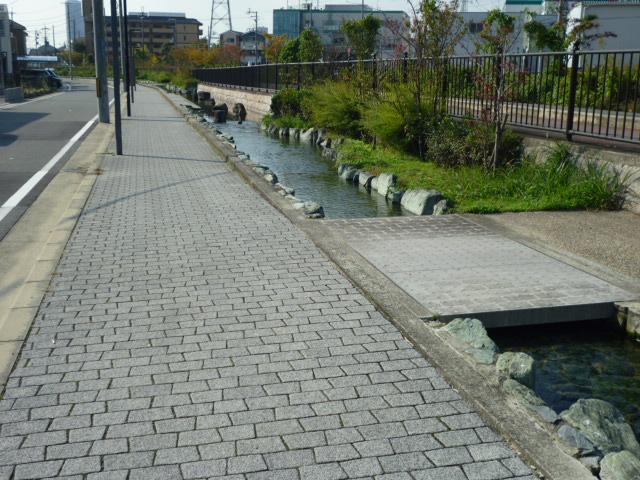 Local photos, including front road. Sidewalk and the creek, which is provided along the road will further produce a sense of openness! You can also be a small fish Catching with dad! 