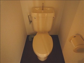 Toilet. Toilet