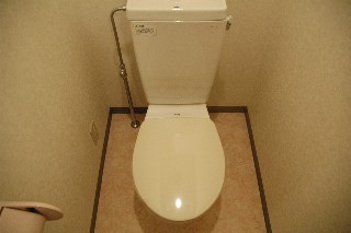 Toilet. Toilet